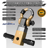 AUTMATCH Shackle Hitch Receiver 2 Inch with 3/4" D Ring Shackle and 5/8" Trailer Hitch Lock Pin, 45,000 Lbs Break Strength, Heavy Duty Receiver Kit for Vehicle Recovery, Gold