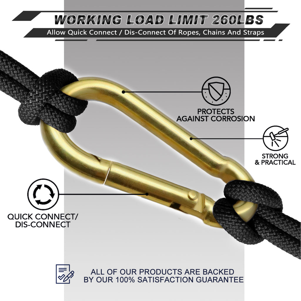 Primary Link Gold Metallic Carabiner – Glob