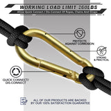 AUTMATCH Carabiner Clips, 3" Carbon Steel Spring Snap Hook Caribeener Clips Buckle Pack Grade Heavy Duty Carabiners Quick Link for Camping, Fishing, Hiking, Traveling, Gold, 4 Pack